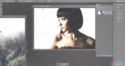 爆料教科书的原视频,真实历史背后的惊人真相